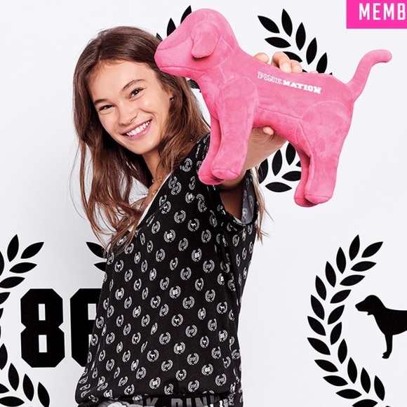 PINK Victoria's Secret Accessories - PINK dog